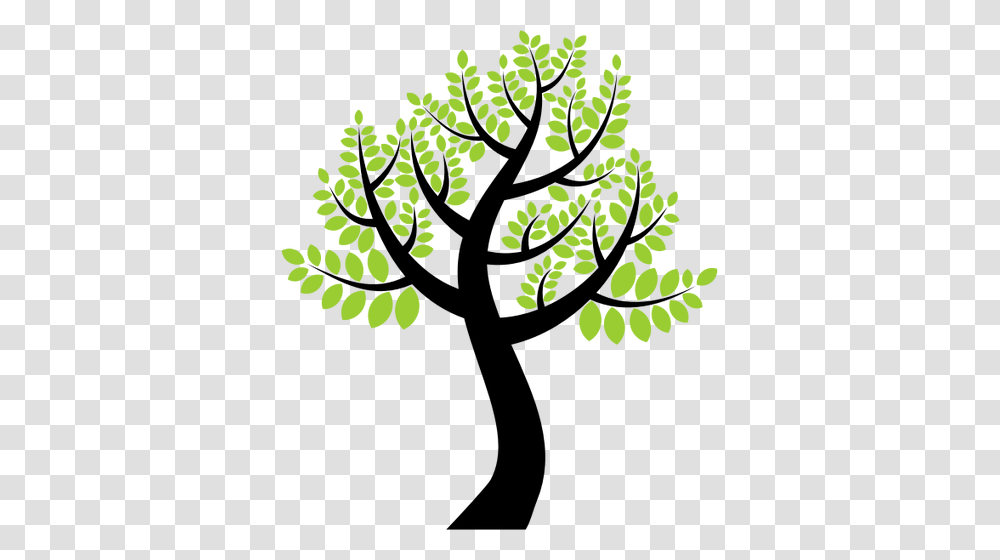 Vector Image Of High Tree, Green, Plant, Fern, Leaf Transparent Png