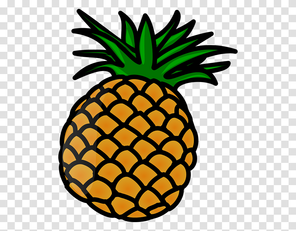 Vector Image, Pineapple, Fruit, Plant, Food Transparent Png