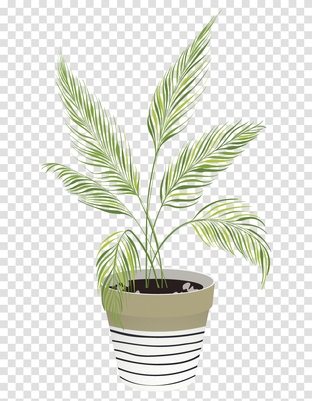 Vector Indoor Plants Plant Illustration Vector, Potted Plant, Vase, Jar, Pottery Transparent Png