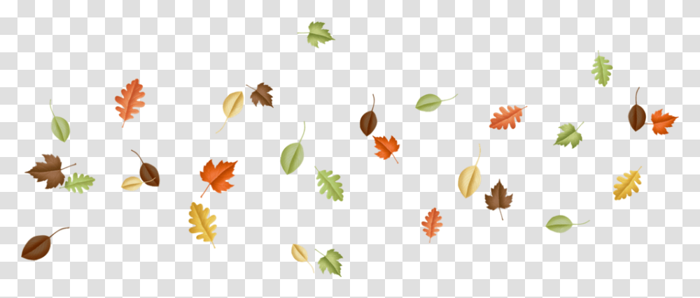 Vector, Leaf, Plant, Tree, Maple Leaf Transparent Png