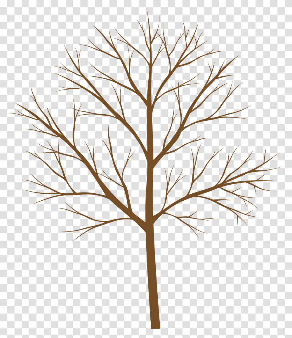 Vector, Leaf, Plant, Tree, Silhouette Transparent Png