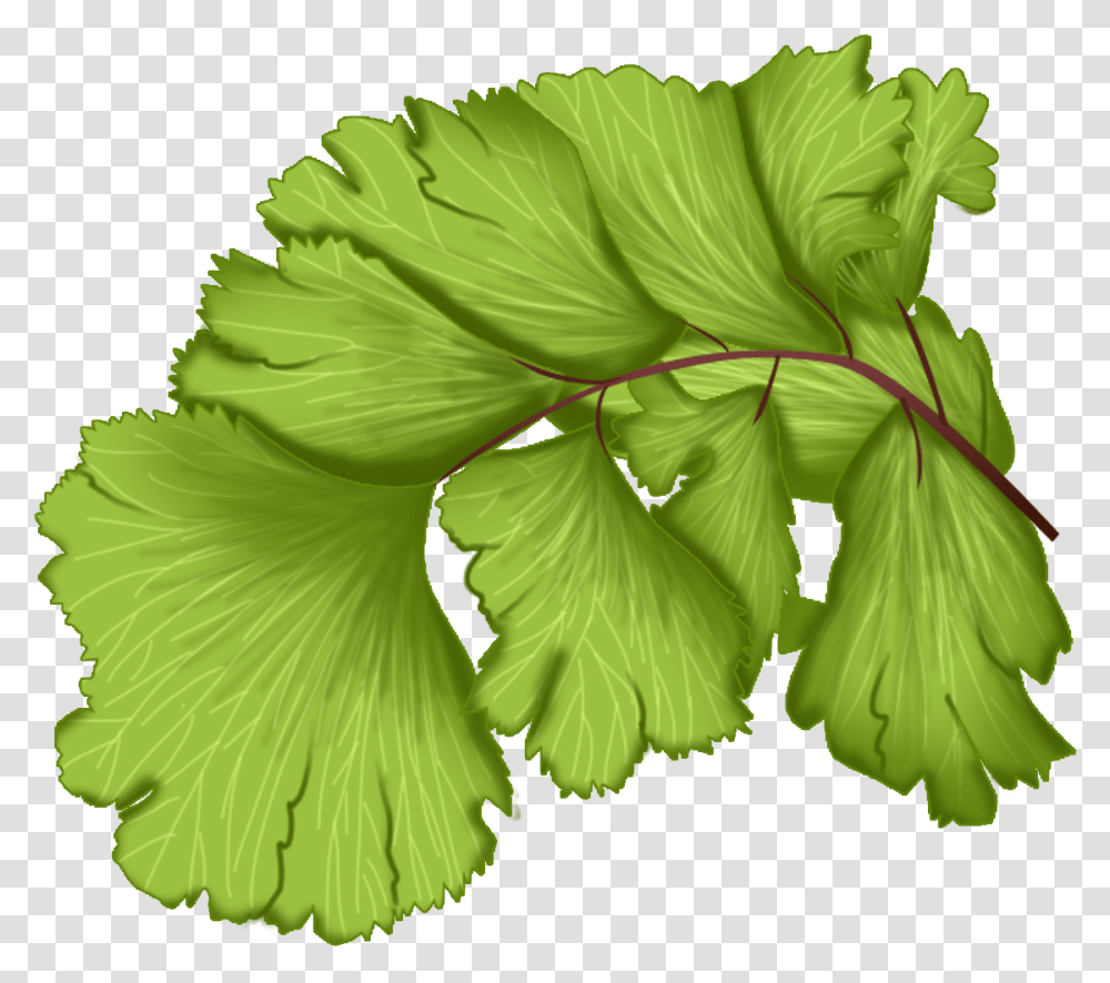 Vector Leaves, Plant, Leaf, Green, Jar Transparent Png