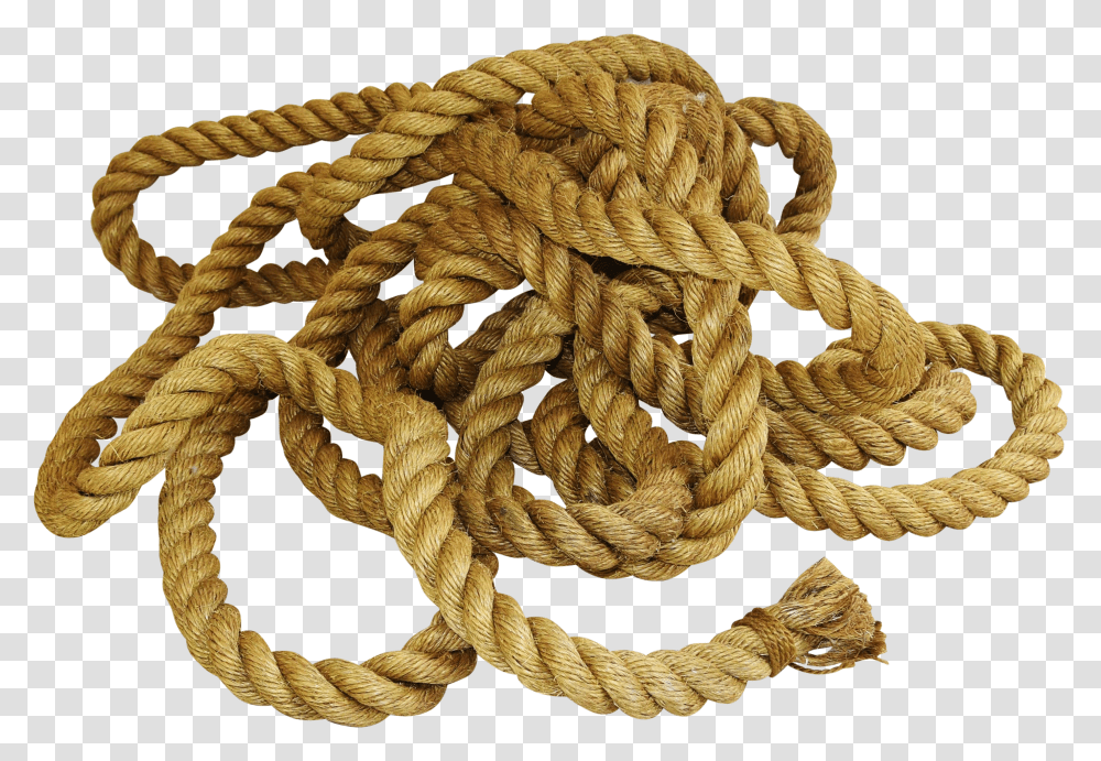 Vector Library Library Rope Nautical Boat Rope Transparent Png
