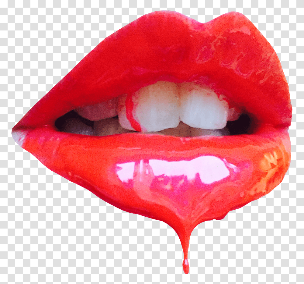 Vector Lips Drip Lip Dripping, Teeth, Mouth, Rose, Flower Transparent Png