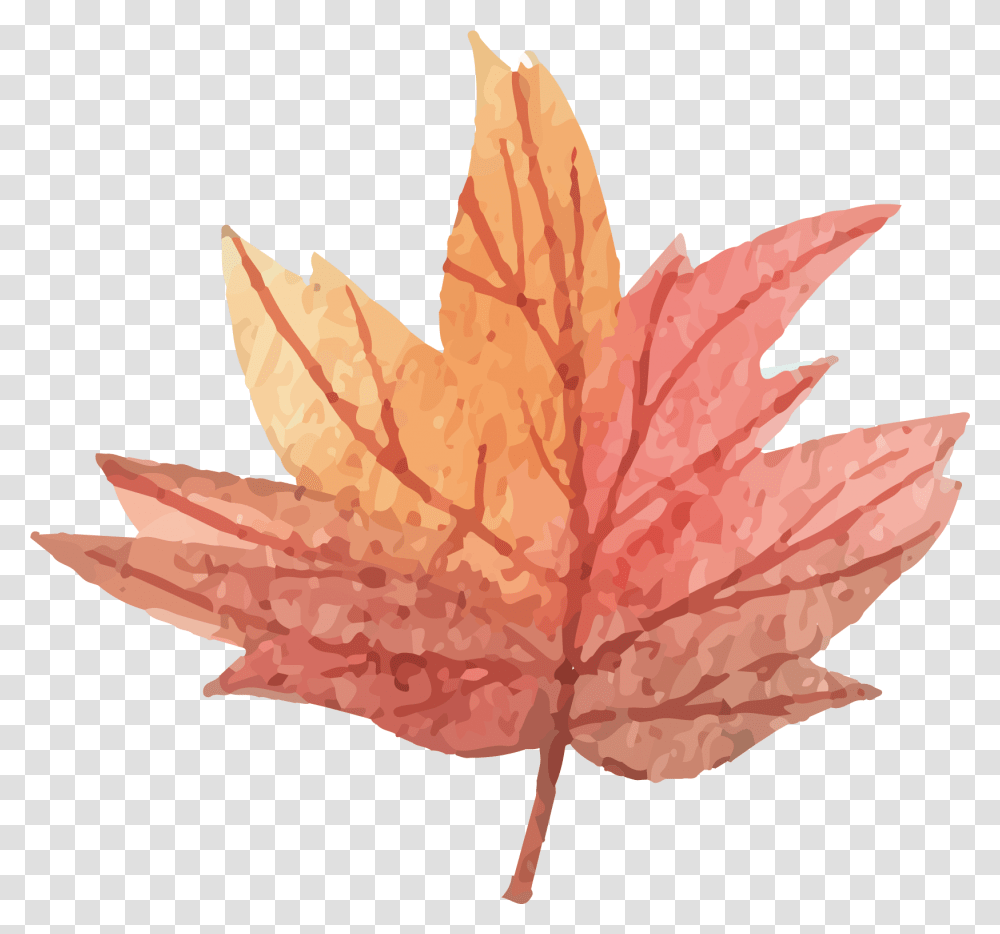Vector Maple Leaf Download Watercolor Maple Leaf, Plant, Tree Transparent Png
