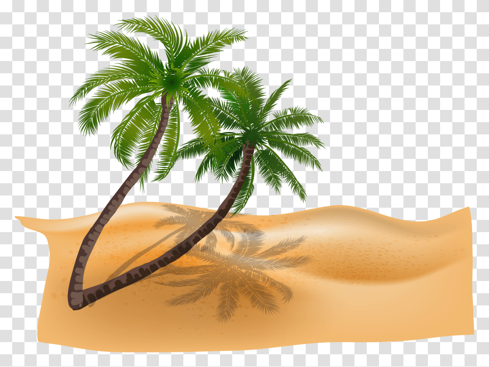 Vector Material Plant Coconut Trees Beach Beach Beach Coconut Tree, Palm Tree, Arecaceae, Soil, Sand Transparent Png