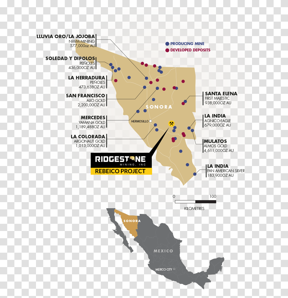 Vector Mexico Map, Plot, Diagram, Vegetation, Plant Transparent Png