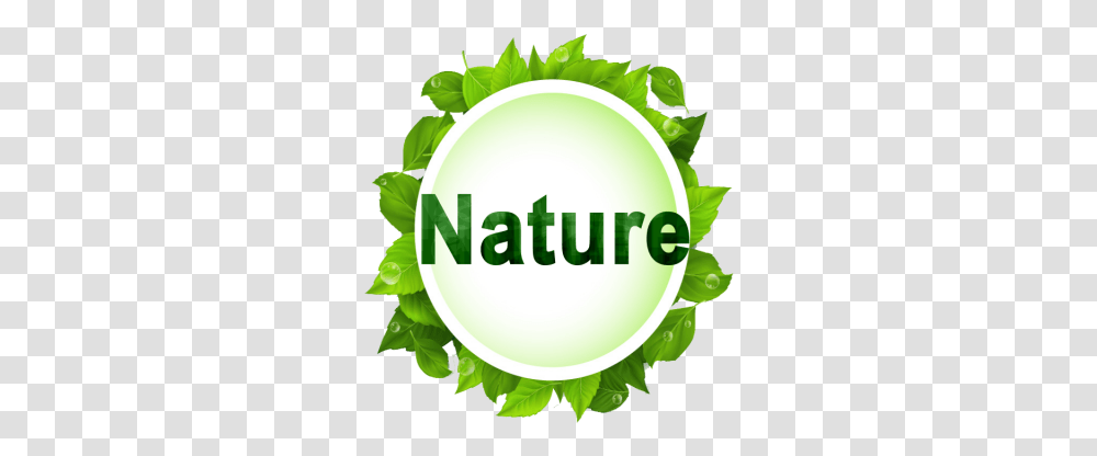 Vector Nature Green Leaf Vector, Plant, Vegetation Transparent Png