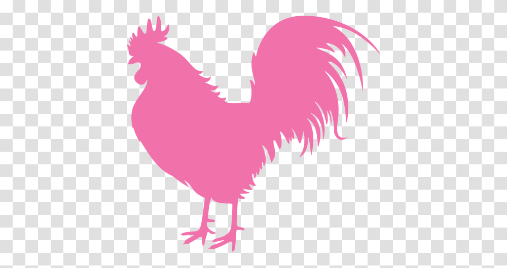 Vector Newspaper Mocap Public Domain Image Freeimg Pink Rooster Clip Art, Animal, Bird, Fowl, Poultry Transparent Png