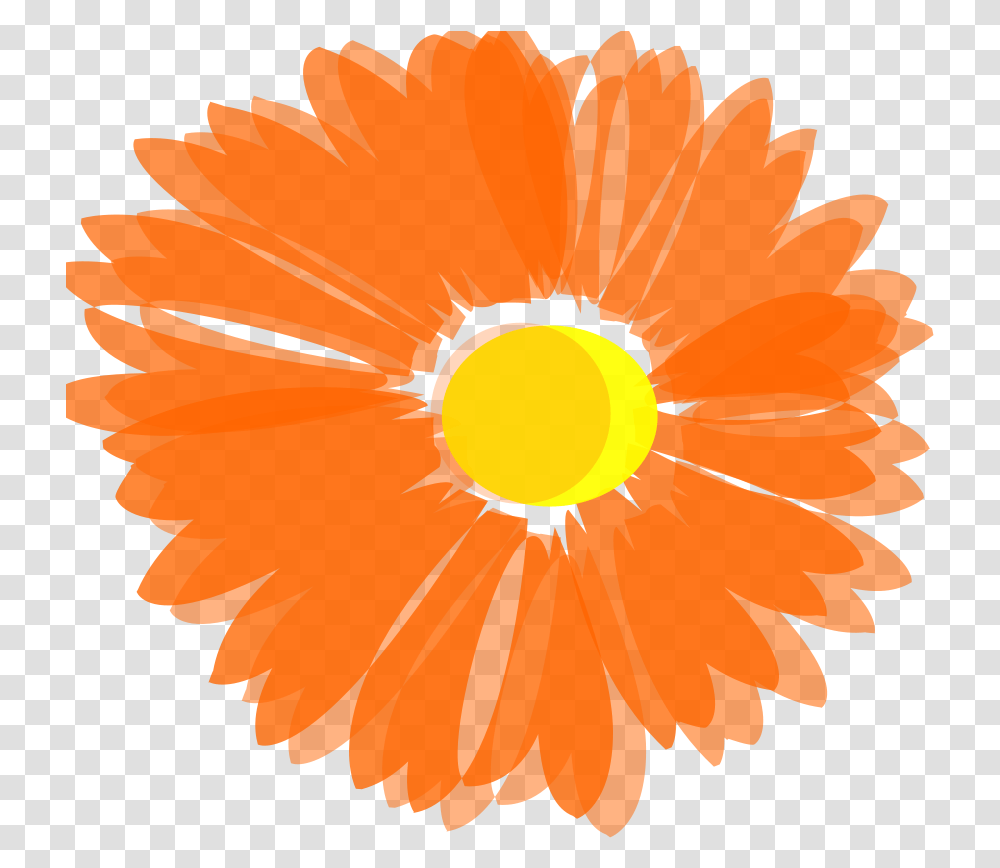 Vector Orange Floral Orange Flower Vector, Plant, Blossom, Hibiscus, Anther Transparent Png
