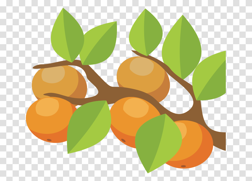 Vector Orange Tree, Plant, Leaf, Food, Produce Transparent Png