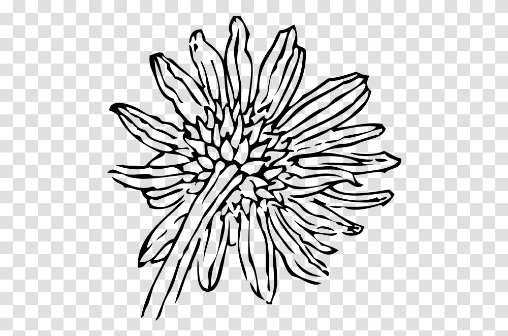 Vector Outline Sunflower Sunflower Clip Art, Gray, World Of Warcraft Transparent Png