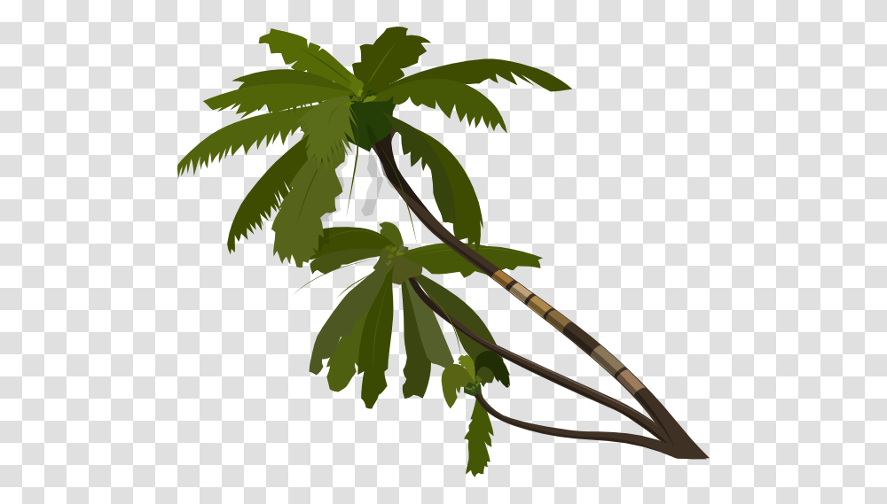 Vector Palm Trees Clip Art, Plant, Leaf, Arecaceae, Green Transparent Png