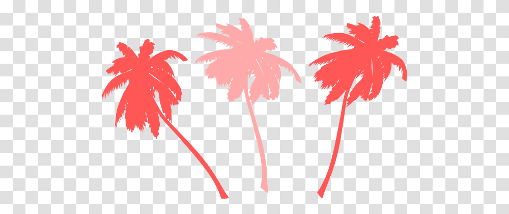 Vector Palm Trees Clip Art Vector Clip Art Coincidentally By May Lynn, Leaf, Plant, Maple, Maple Leaf Transparent Png