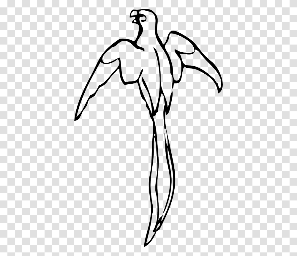 Vector Parrot Black And White Outline Of A Parrot, Gray, World Of Warcraft Transparent Png