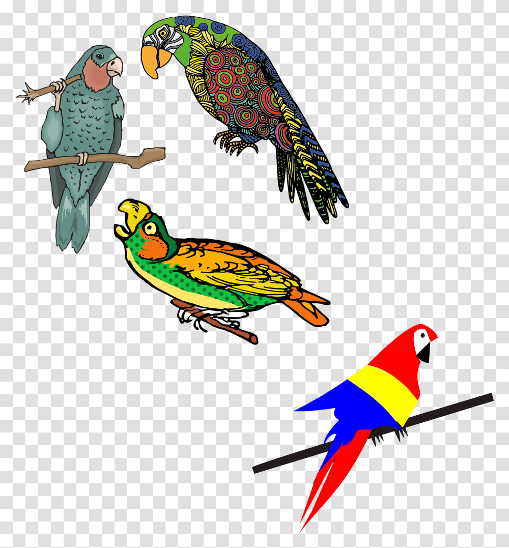 Vector Parrot Colored Dibujos De Loro Coloreados, Bird, Animal, Person Transparent Png