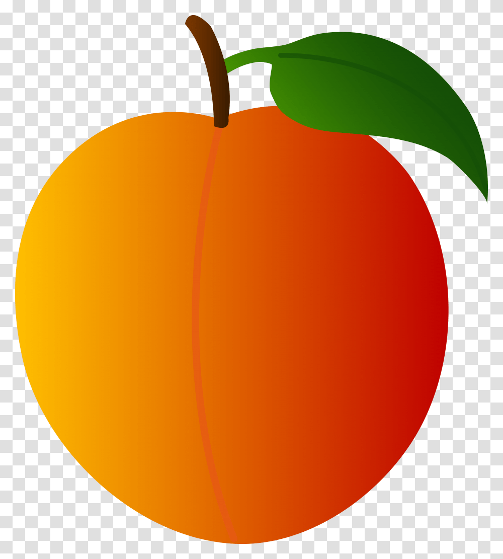 Vector Peach Free Download On Melbournechapter Peach Clipart, Plant, Vegetable, Food, Produce Transparent Png