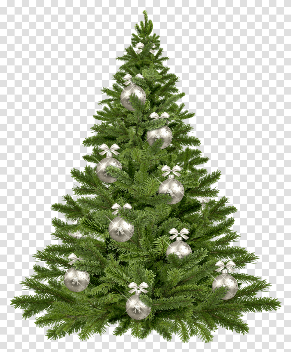 Vector Pine Tree 24 Buy Clip Art Purple Christmas Tree Christmas Celebration Tree, Ornament, Plant, Conifer, Fir Transparent Png