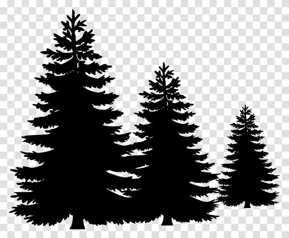 Vector Pine Tree, Gray, World Of Warcraft Transparent Png