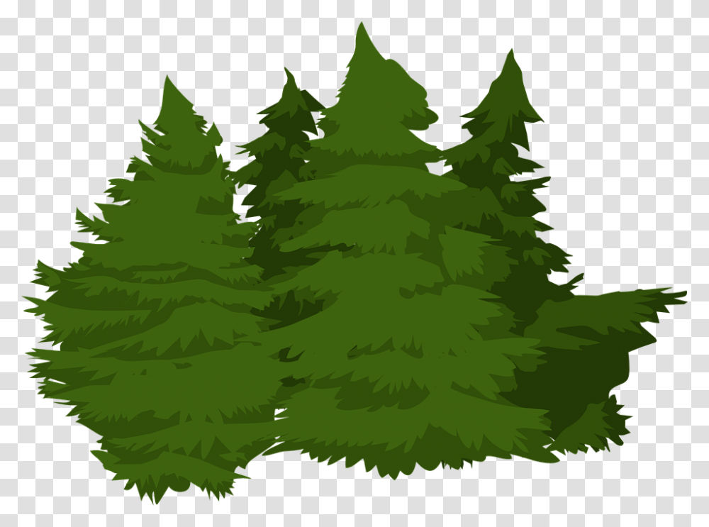 Vector Pine Trees 17 Buy Clip Art Hutan Pinus, Plant, Fir, Abies, Conifer Transparent Png