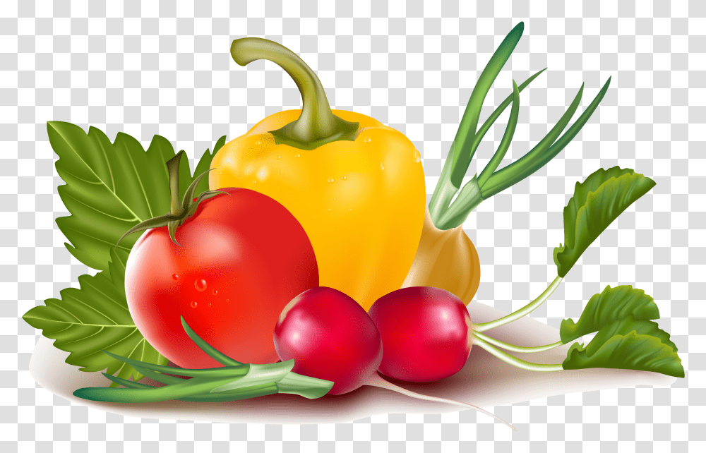 Vector, Plant, Vegetable, Food, Pepper Transparent Png