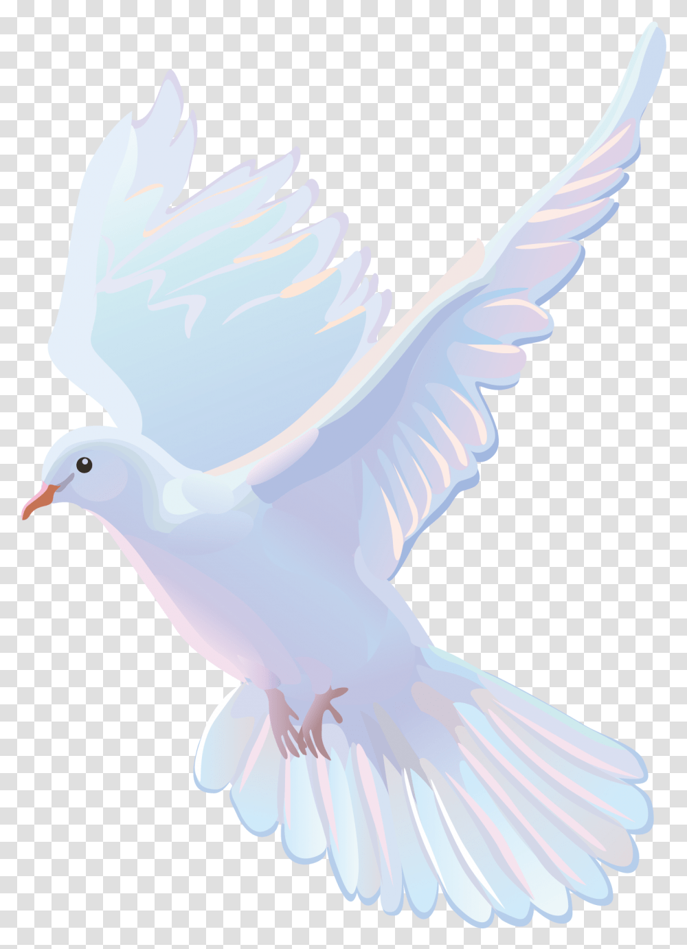 Vector Pretty White Dove, Pigeon, Bird, Animal Transparent Png