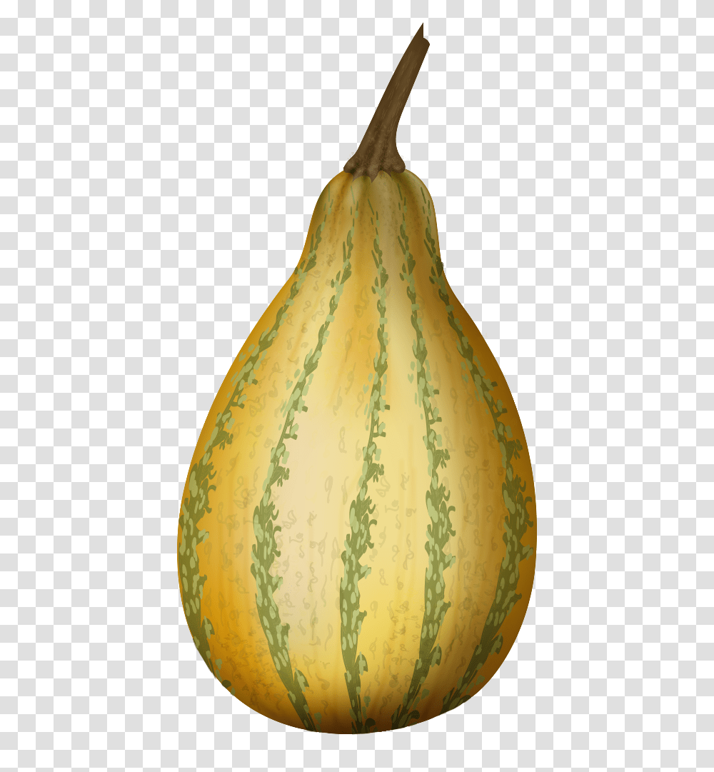 Vector Pumpkins Calabash Gourd, Plant, Produce, Food, Vegetable Transparent Png