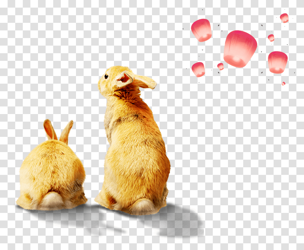 Vector Rabbit Mascot Rabbit, Animal, Bird, Mammal, Sweets Transparent Png