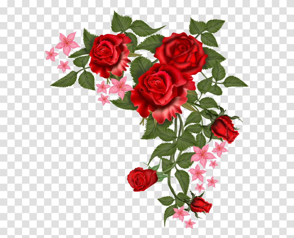 Vector Red Flower, Rose, Plant, Blossom Transparent Png