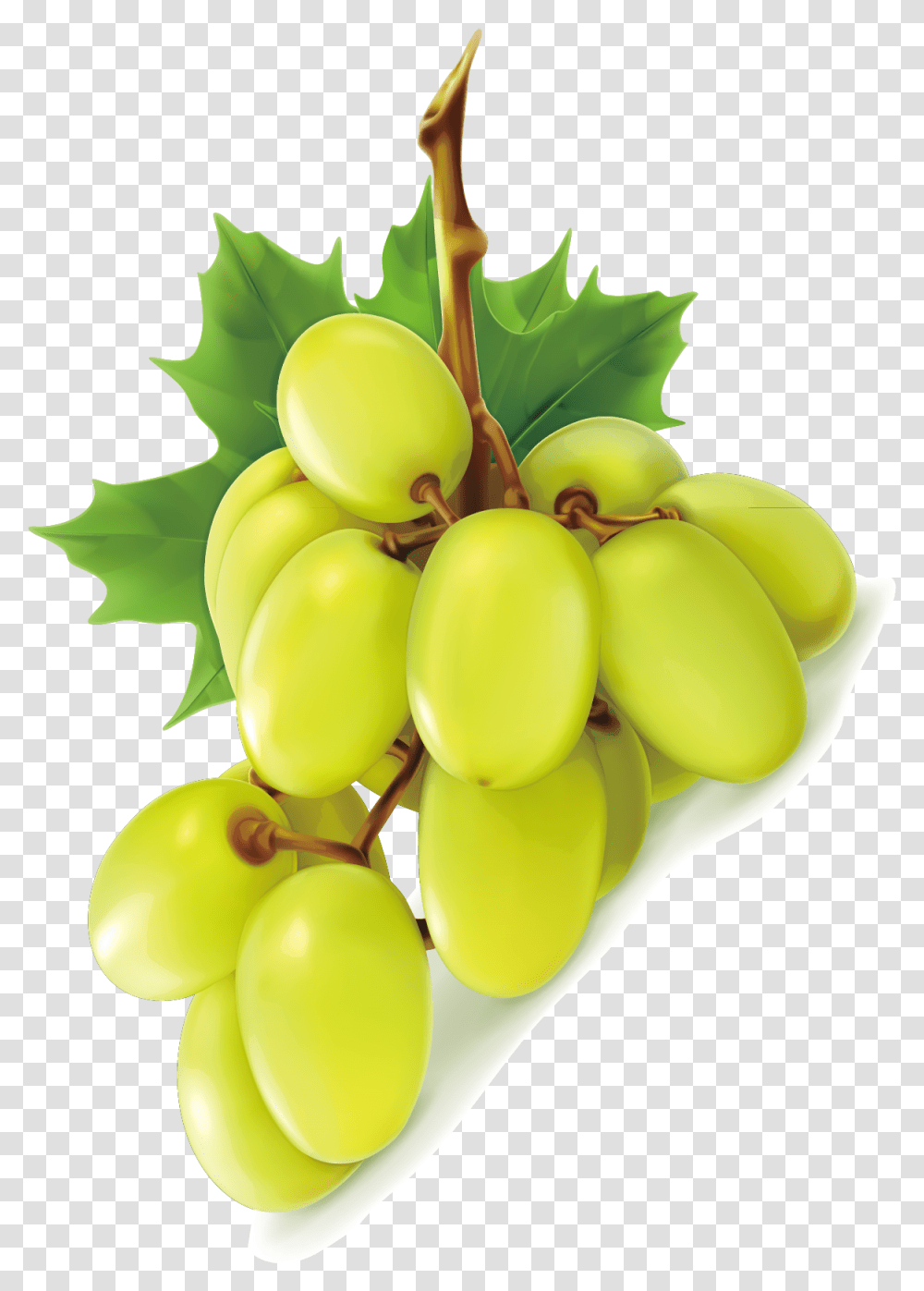 Vector Red Grape, Plant, Grapes, Fruit, Food Transparent Png