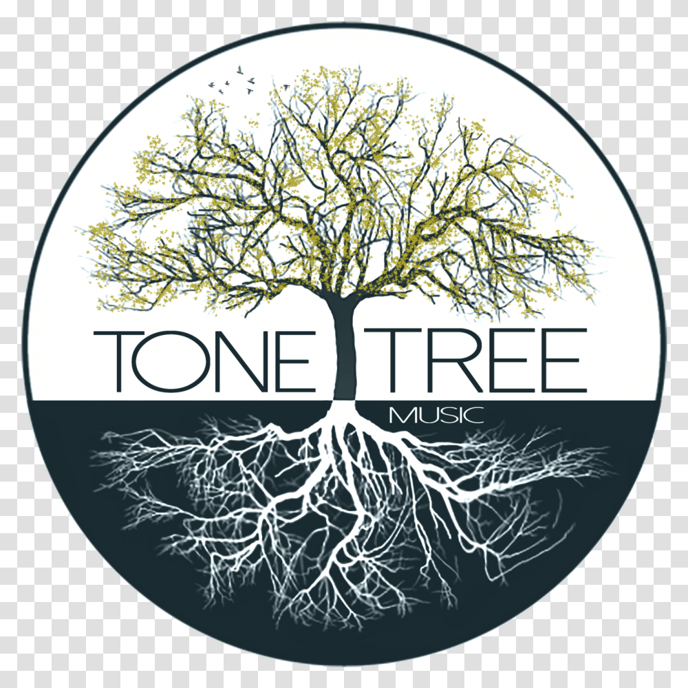 Vector Root Music Tree And Music, Plant Transparent Png