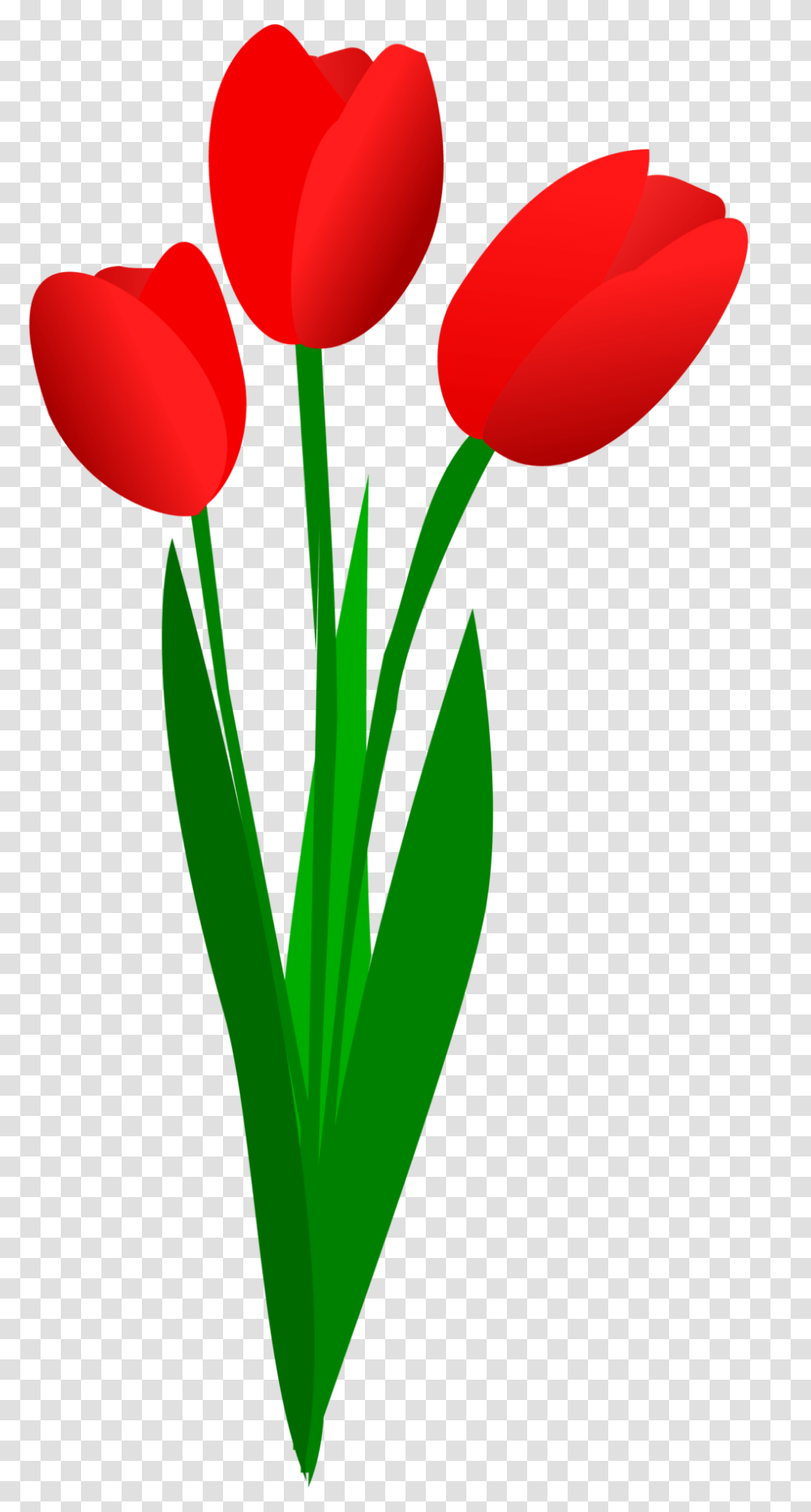Vector Royalty Free Download Files Red Tulips Clipart, Plant, Flower, Blossom, Balloon Transparent Png