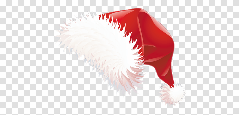 Vector Santa Hat, Plant, Flower, Petal, Bird Transparent Png