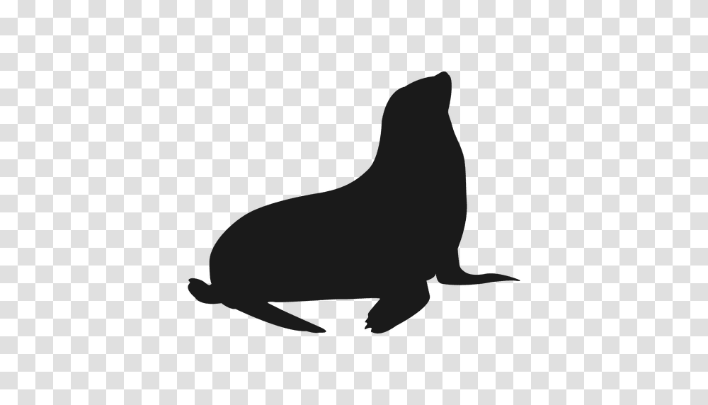 Vector Seal Silhouette Huge Freebie Download For Powerpoint, Mammal, Animal, Bird, Wildlife Transparent Png