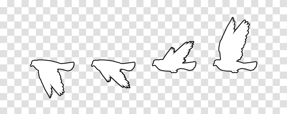 Vector Sketching Bird Flying Bird Silhouette White, Animal, Eagle, Stencil, Symbol Transparent Png