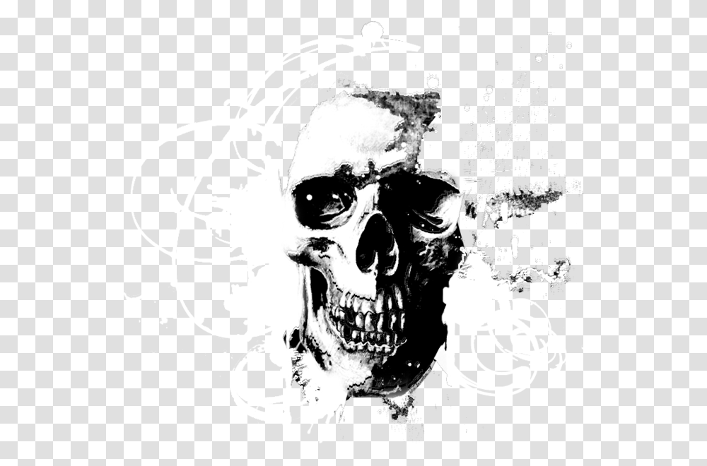 Vector Skull Download Skull Vector Images, Person, Human, Stencil, Head Transparent Png