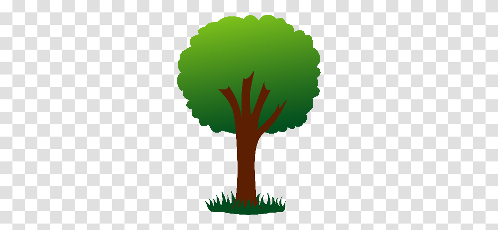 Vector Softball Cliparts, Plant, Tree, Green, Palm Tree Transparent Png