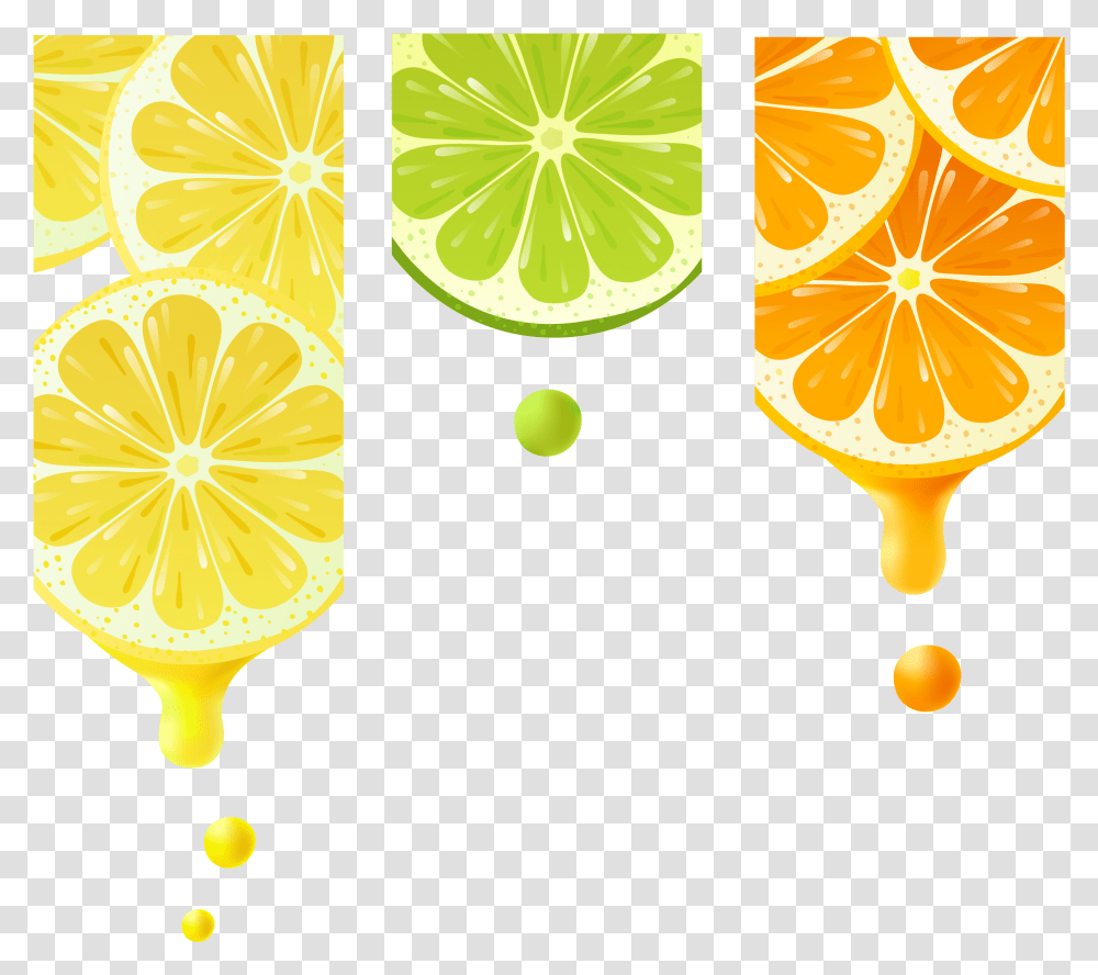 Vector Splashes Lemon Rangpur, Citrus Fruit, Plant, Food, Lime Transparent Png
