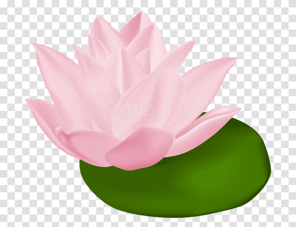 Vector Stock Lily Pad Flower Clipart Clipart Lily Pad Flower, Plant, Blossom, Rose, Pond Lily Transparent Png