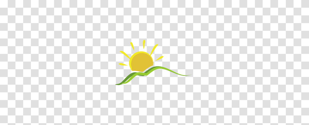 Vector Sun Mountain Brush Logo Download Art Logos Vector Logos, Plant, Flower, Blossom, Sunflower Transparent Png
