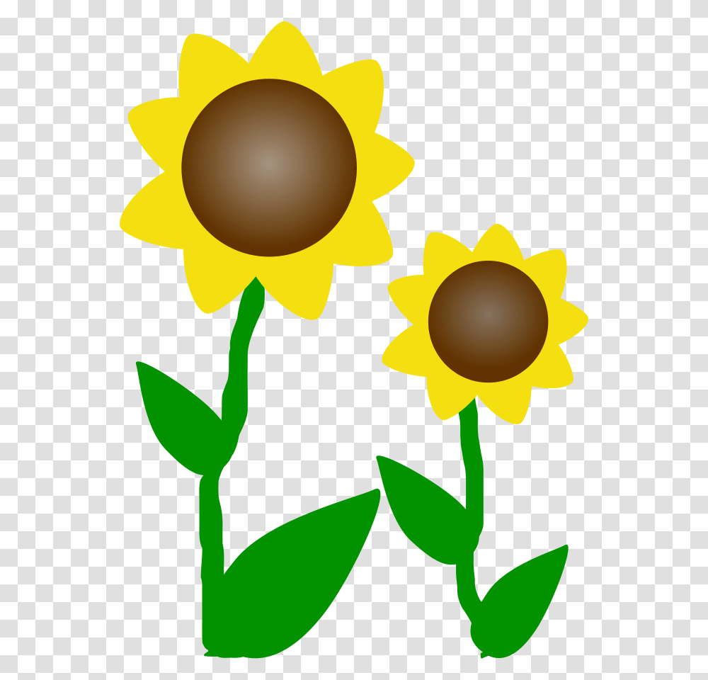 Vector Sun, Plant, Flower, Blossom, Daffodil Transparent Png