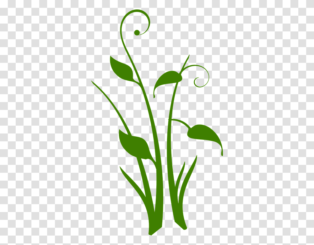 Vector Swirl Clipart Plant, Floral Design, Pattern, Flower Transparent Png