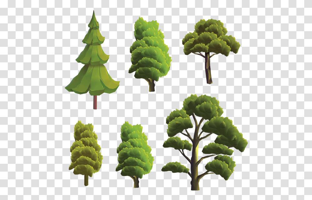 Vector Terreno, Plant, Green, Tree, Vegetation Transparent Png