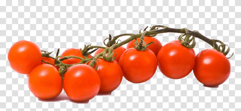 Vector Tomatoes, Plant, Food, Vegetable, Fruit Transparent Png