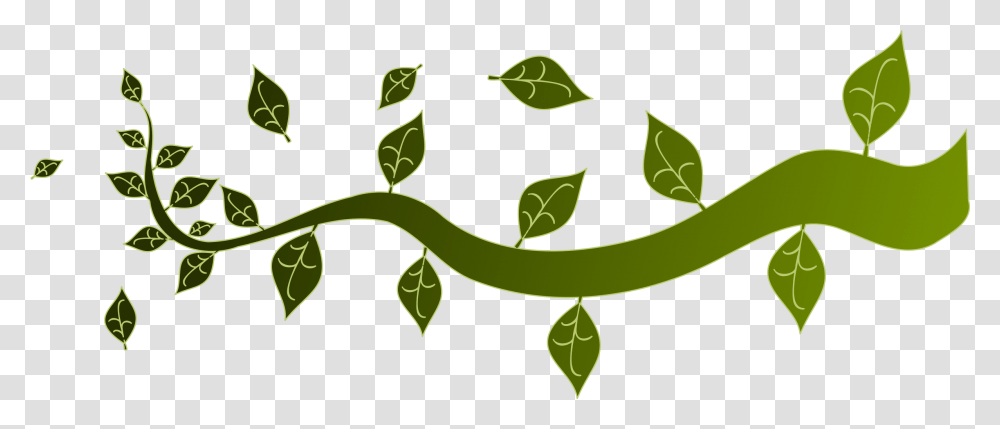 Vector Tree Branches, Plant, Vegetable, Food, Pea Transparent Png
