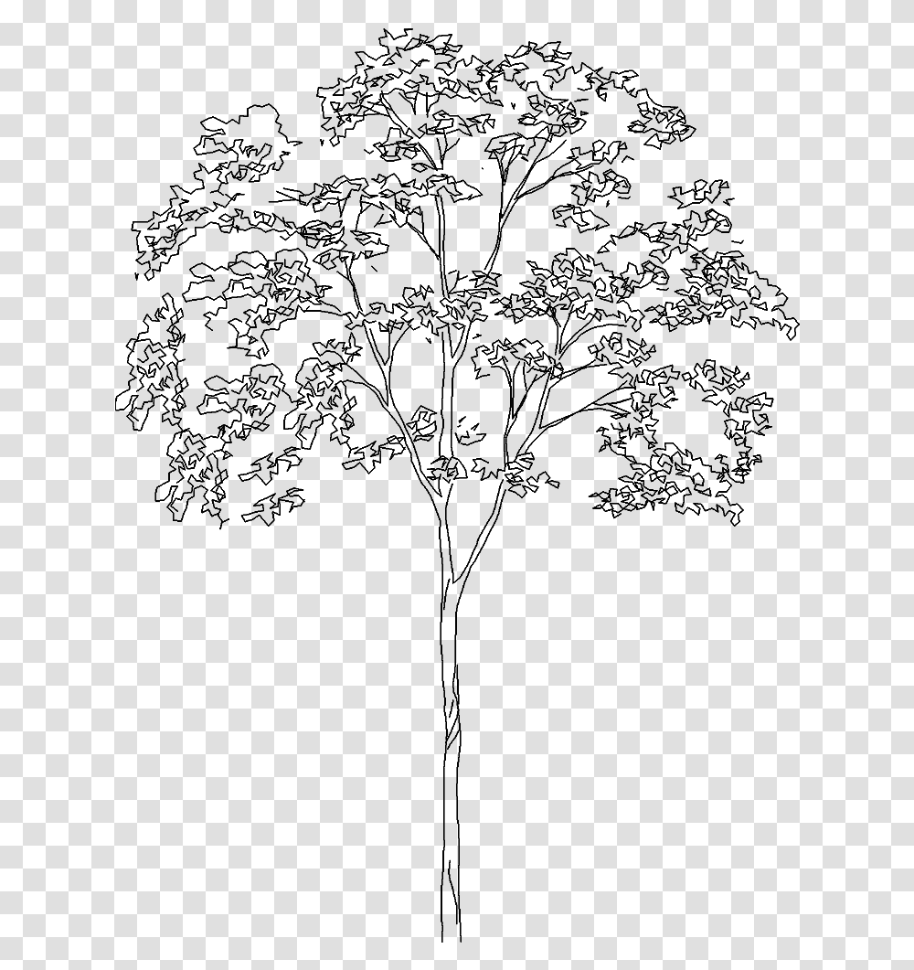 Vector Tree Elevation, Gray, World Of Warcraft Transparent Png