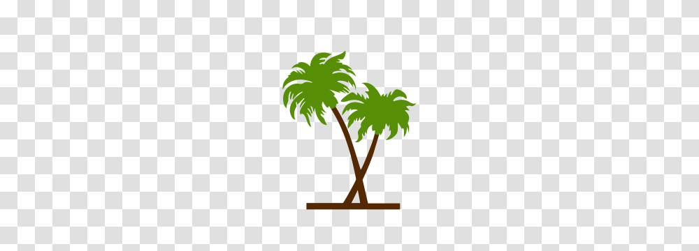 Vector, Tree, Plant, Green, Palm Tree Transparent Png