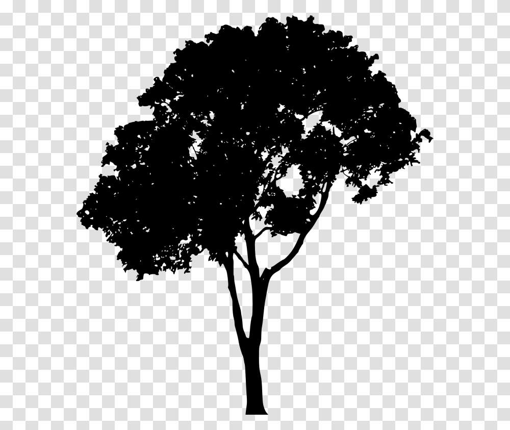 Vector Tree Tree Silhouette, Gray, World Of Warcraft Transparent Png
