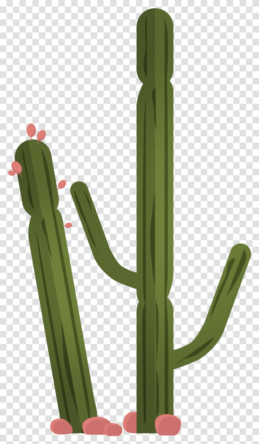 Vector Trees & Exterior Plants For More Clip Art, Cactus Transparent Png