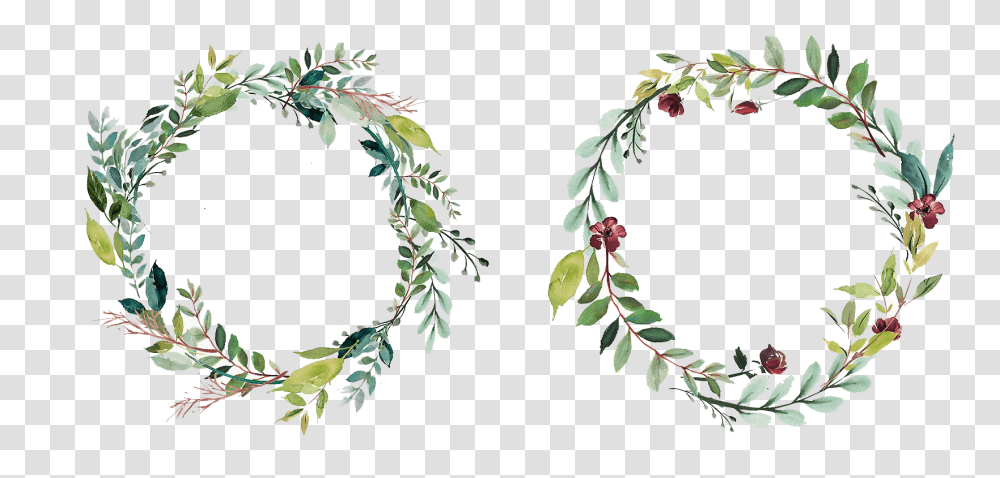 Vector Vegetables Wreath Watercolor Leaves Frame, Plant, Acanthaceae, Flower, Leaf Transparent Png